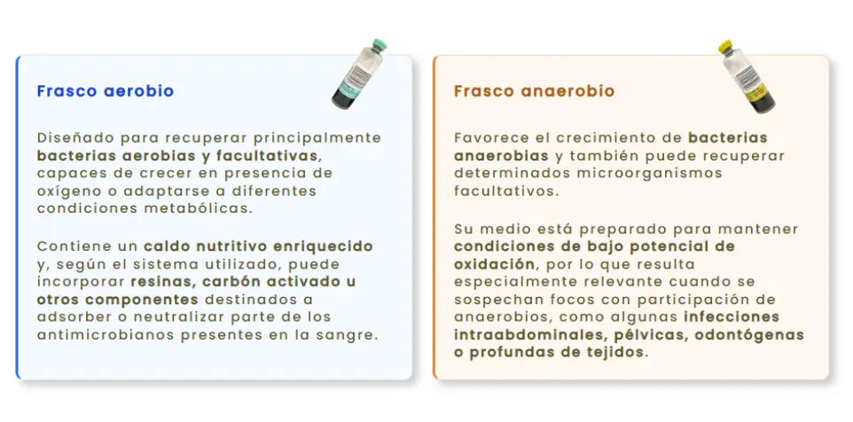 Comparativa entre el frasco aerobio y el frasco anaerobio utilizados en hemocultivos, con sus principales características y microorganismos que permiten recuperar.