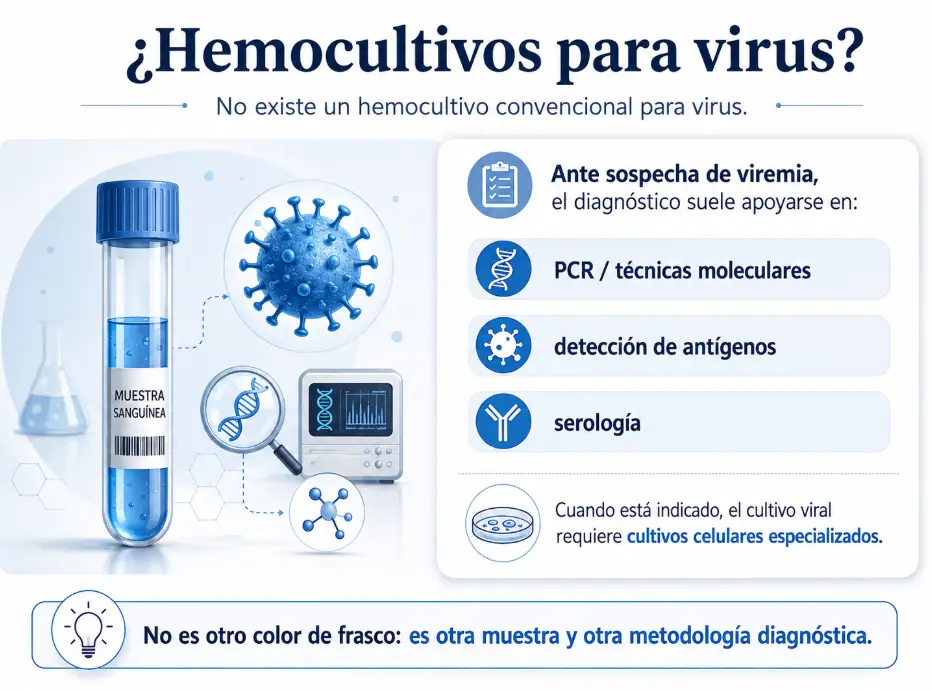 Infografía sobre el diagnóstico de la viremia: no existe un hemocultivo convencional para virus y el estudio se apoya en PCR, detección de antígenos, serología y, en casos indicados, cultivos celulares especializados.