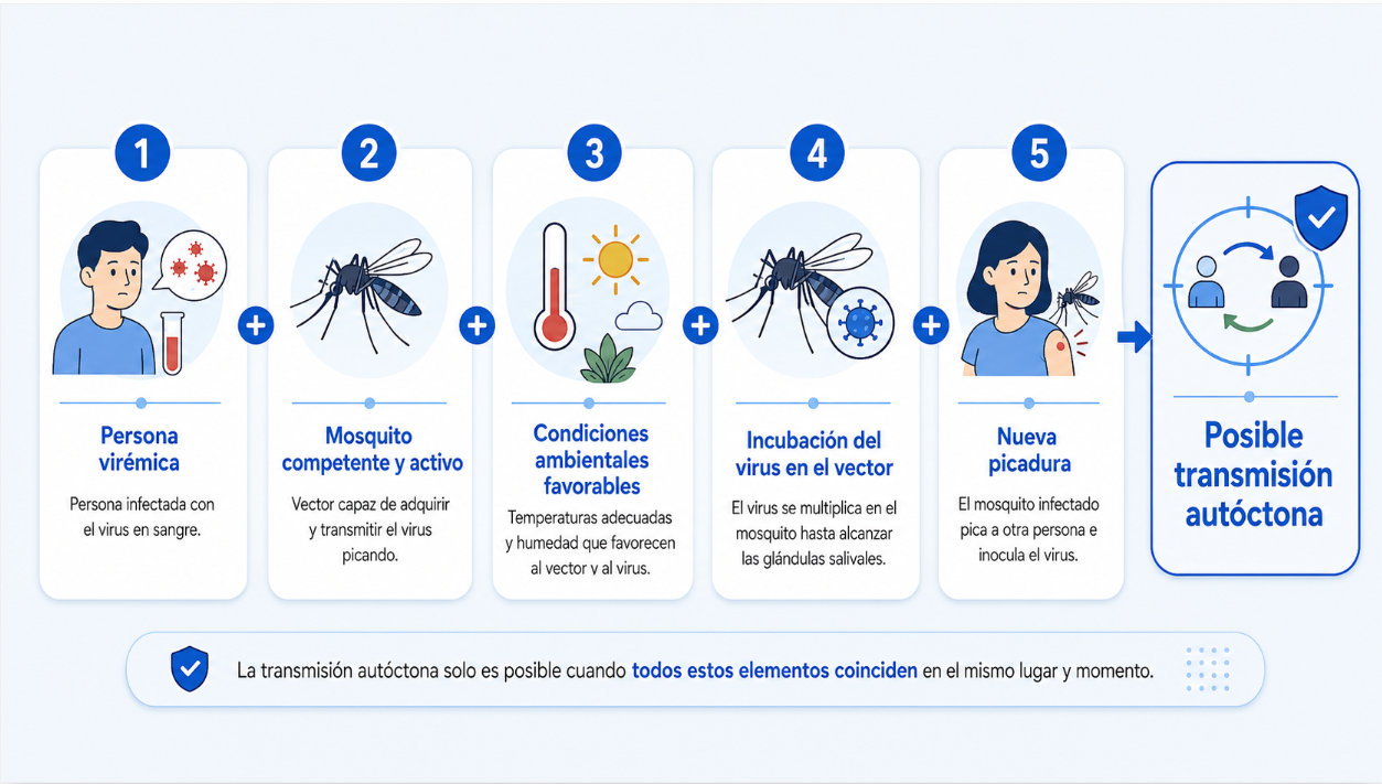 Infografía sobre cómo se produce la transmisión autóctona de arbovirosis: persona virémica, mosquito competente, condiciones ambientales favorables, incubación del virus y nueva picadura.