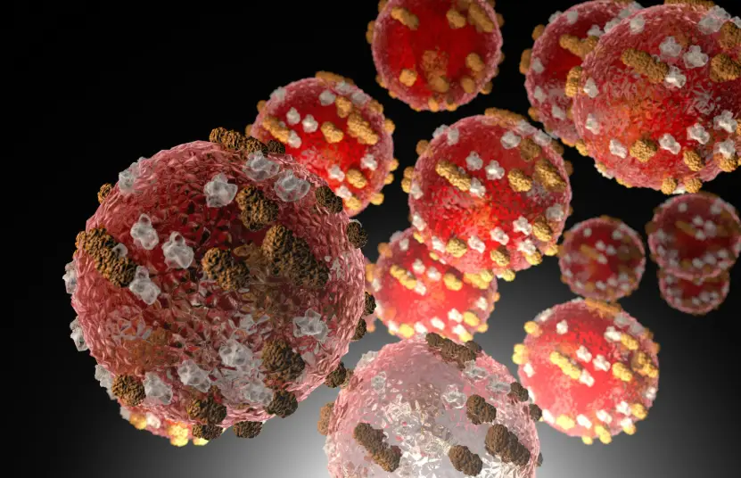 Representación del virus del sarampión, una de las infecciones más contagiosas que existen